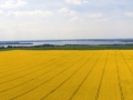 Ostufer-Schwerin_web